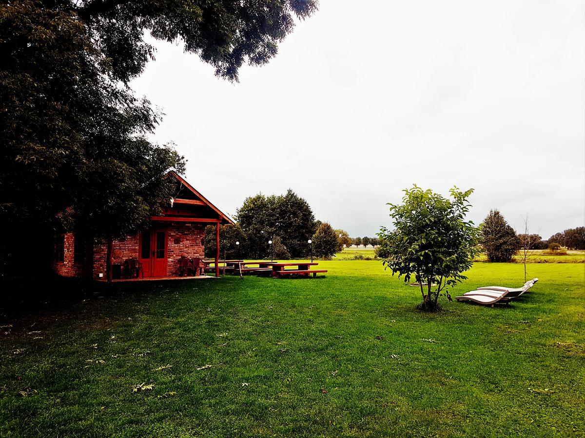Leniwka Otel Świebodzin Dış mekan fotoğraf