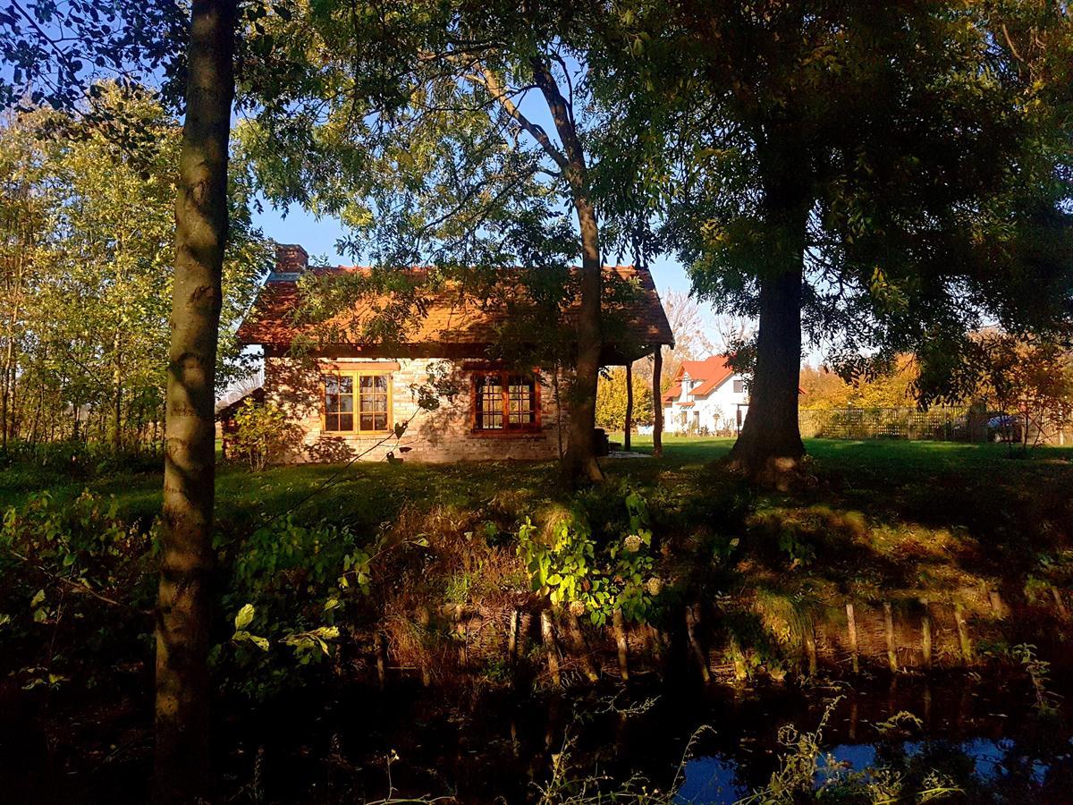 Leniwka Otel Świebodzin Dış mekan fotoğraf