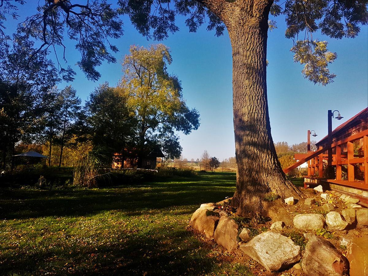 Leniwka Otel Świebodzin Dış mekan fotoğraf